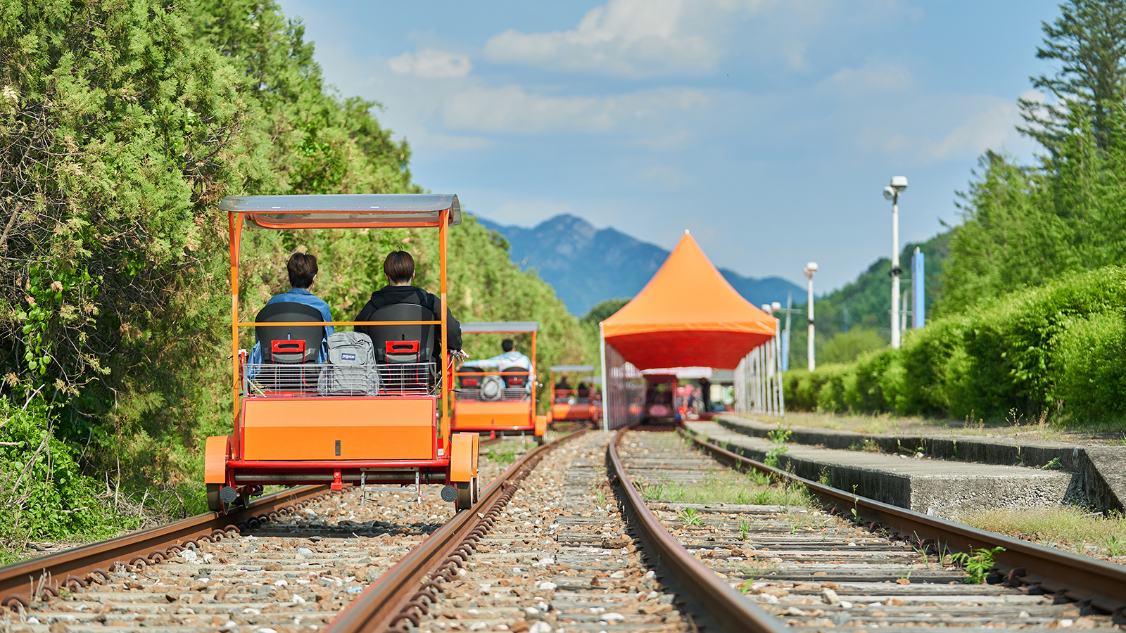 首爾包車前往首爾市區/首爾郊區/江原道（南怡島/羊駝樂園/束草）