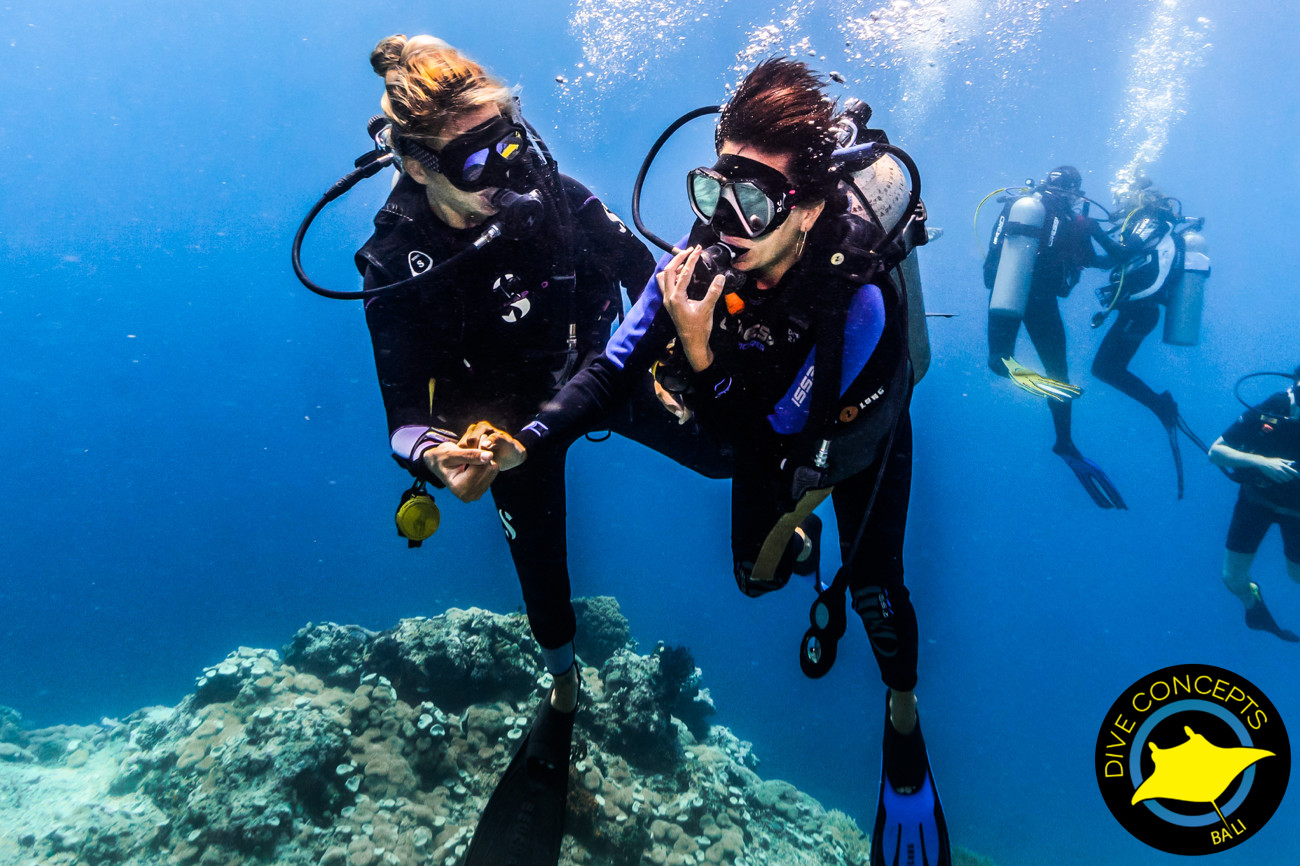 峇里島鹿島海洋公園潛水＆開放水域課程（Dive Concepts 提供）