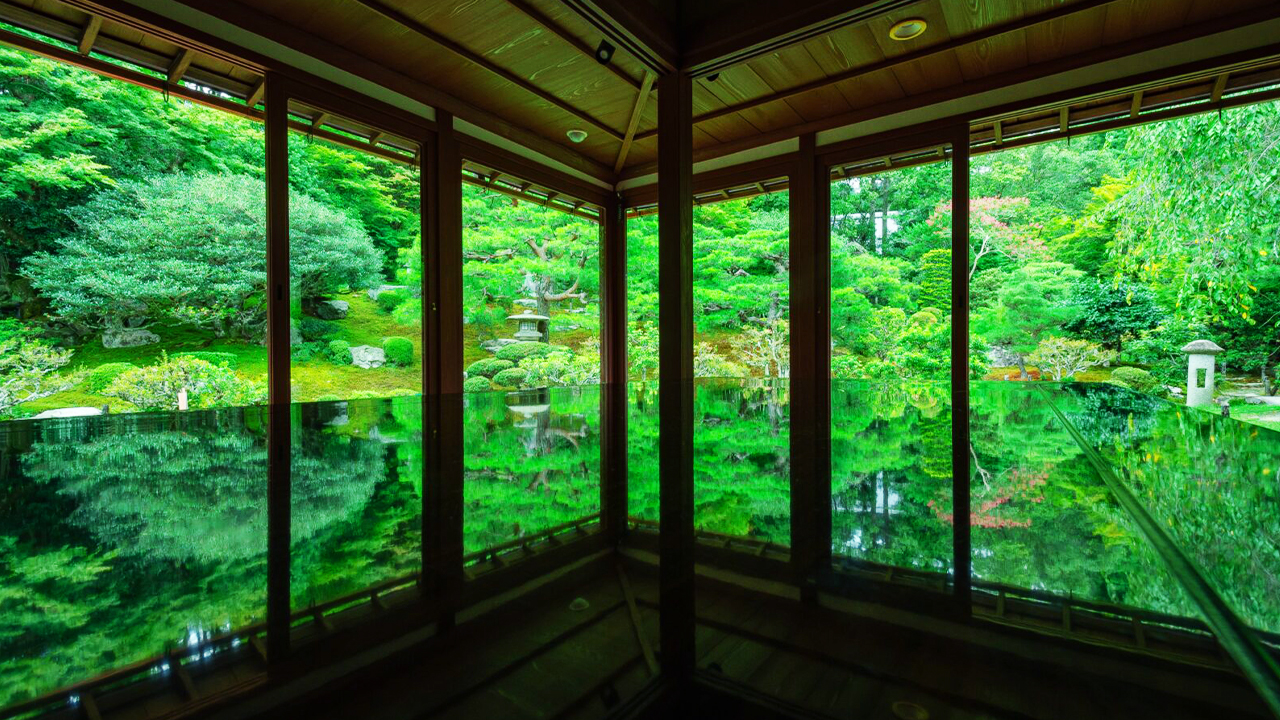 舊竹林院窗外青苔庭園與室內地面相映成鏡,四季景色倒映其中,宛如靜謐畫卷,是拍攝日式庭院倒影美景的人氣地點。 舊竹林院窗外青苔庭園與室內地面相映成鏡,四季景色倒映其中,宛如靜謐畫卷,是拍攝日式庭院倒影美景的人氣地點。