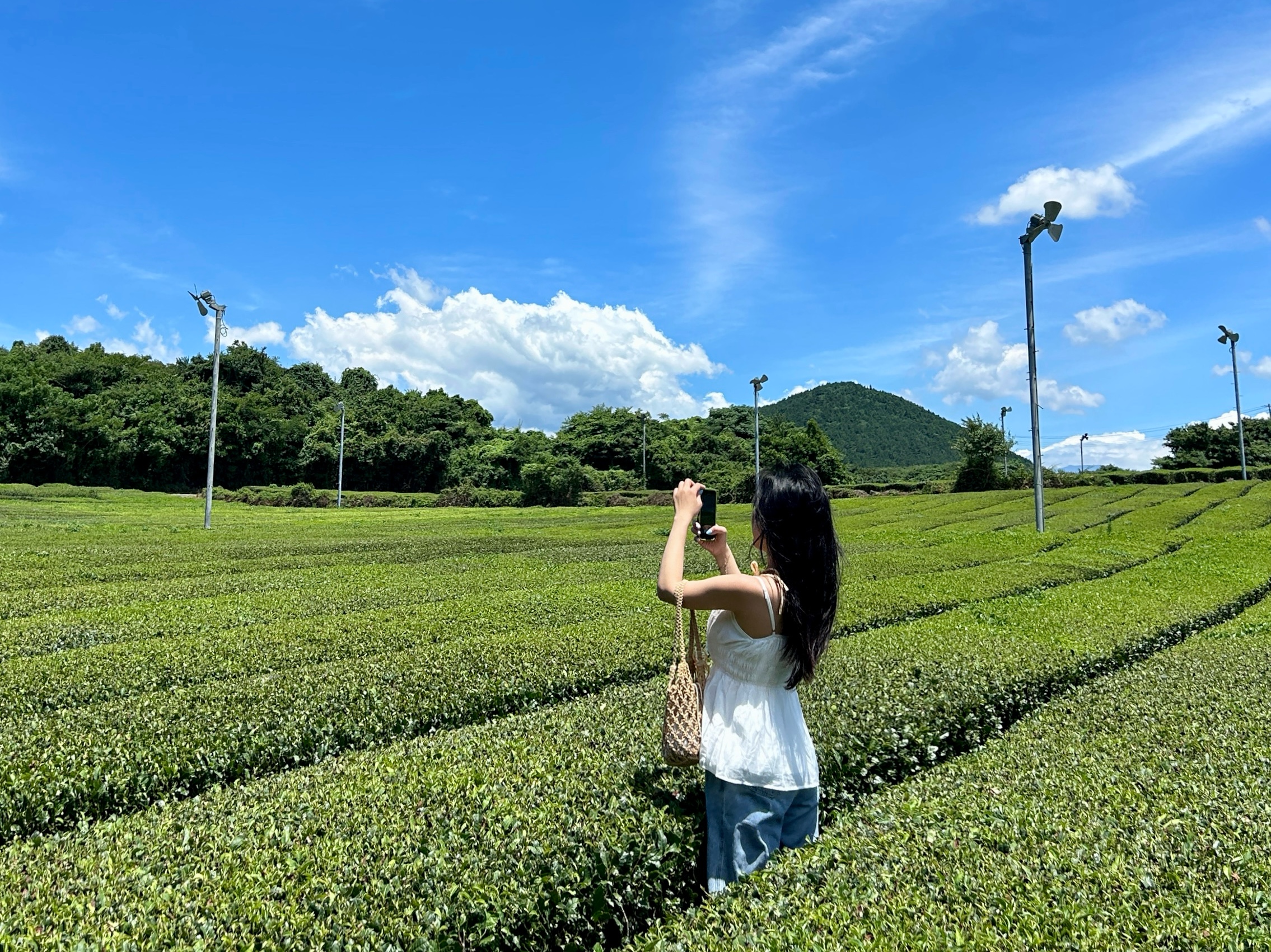 享受根據您的行程和偏好地點定製的快照之旅。