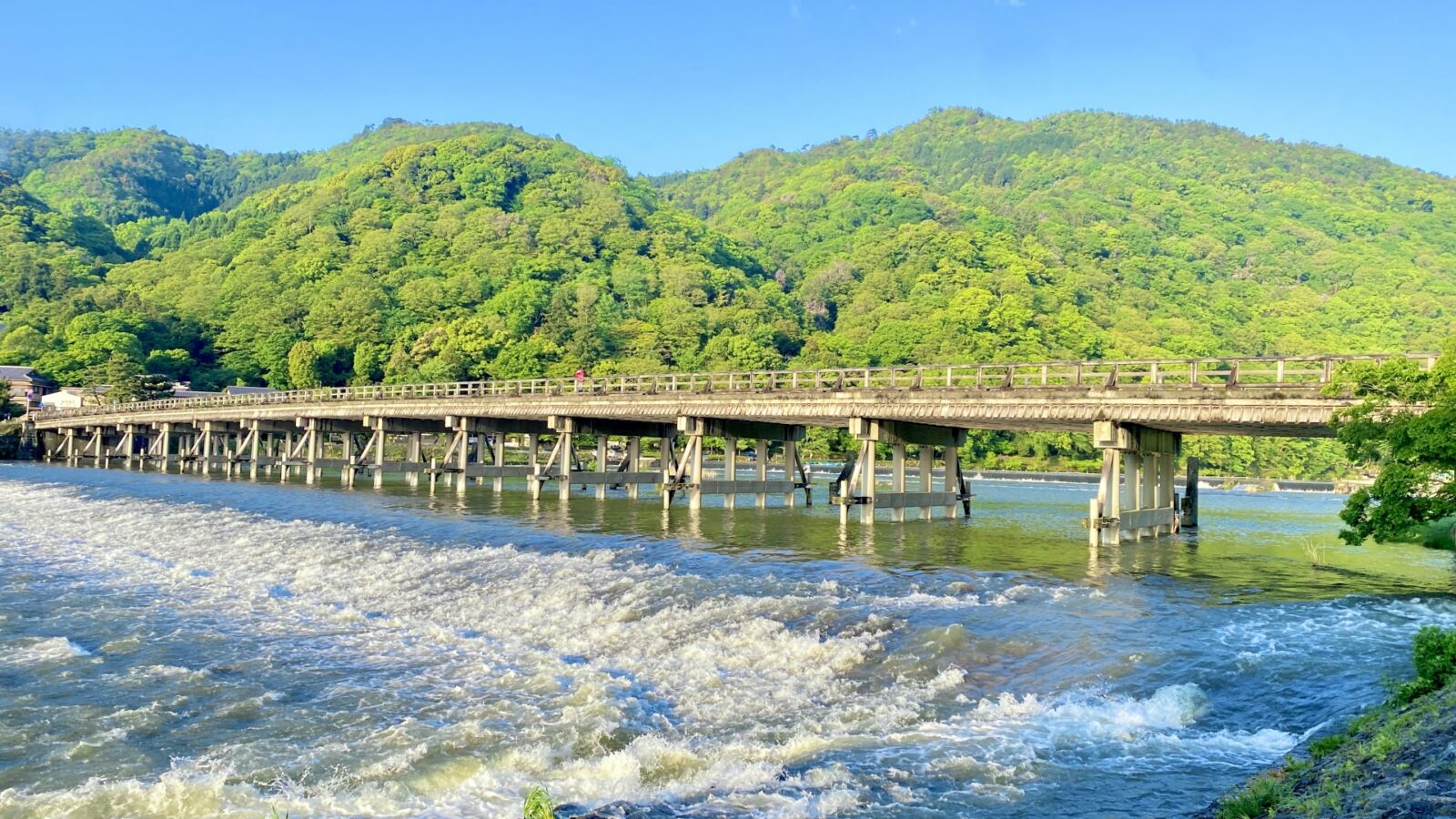 Walking Tour of Western Kyoto : Arashiyama, Kinkakuji and Koboshi