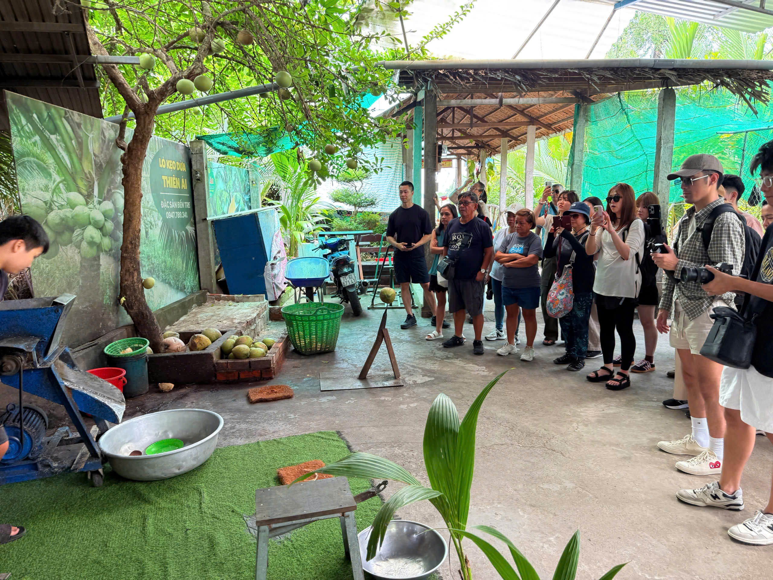 Mekong Delta Day Tour from Ho Chi Minh with Luxury Limousine Options