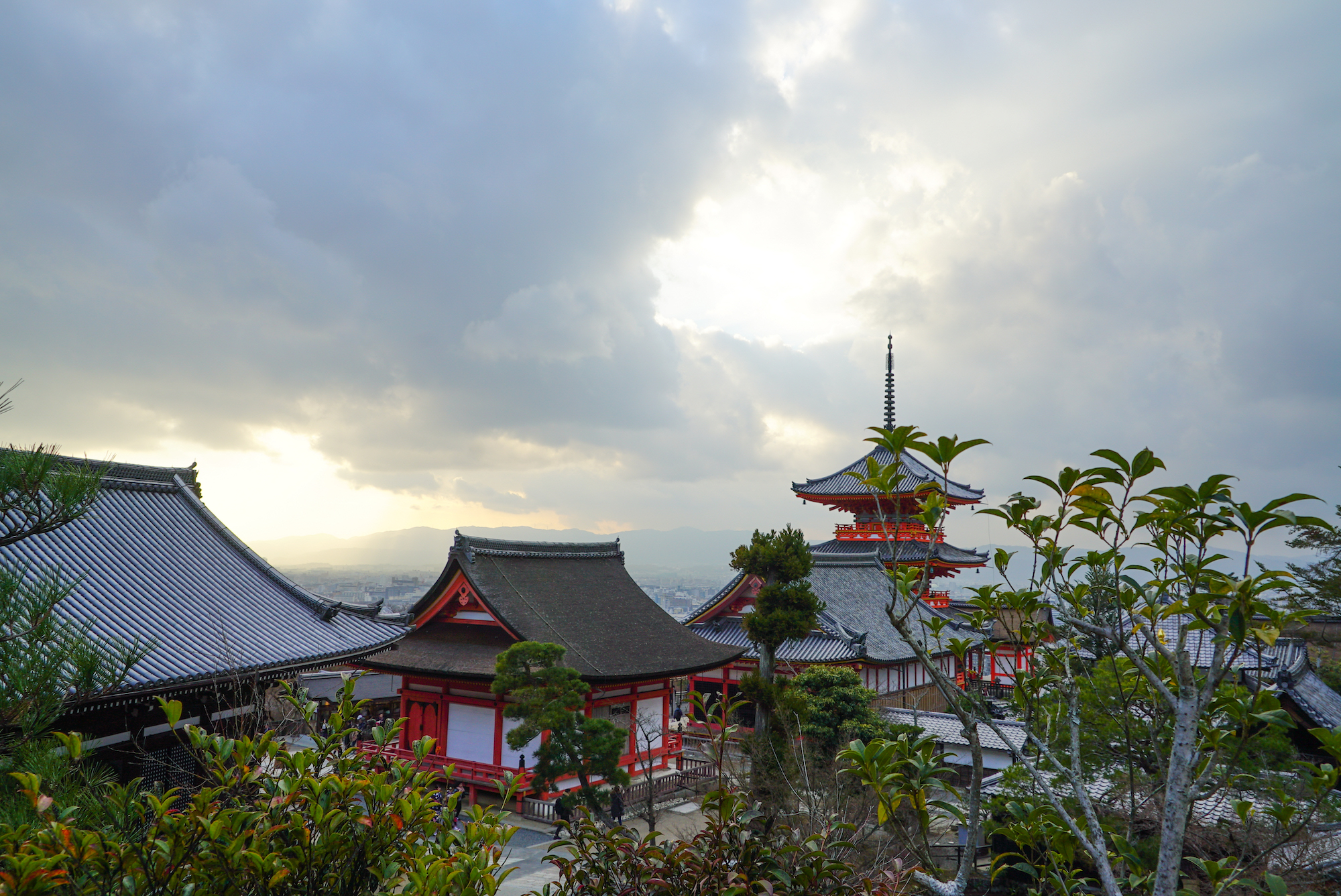京都茶道 & 清水寺徒步之旅