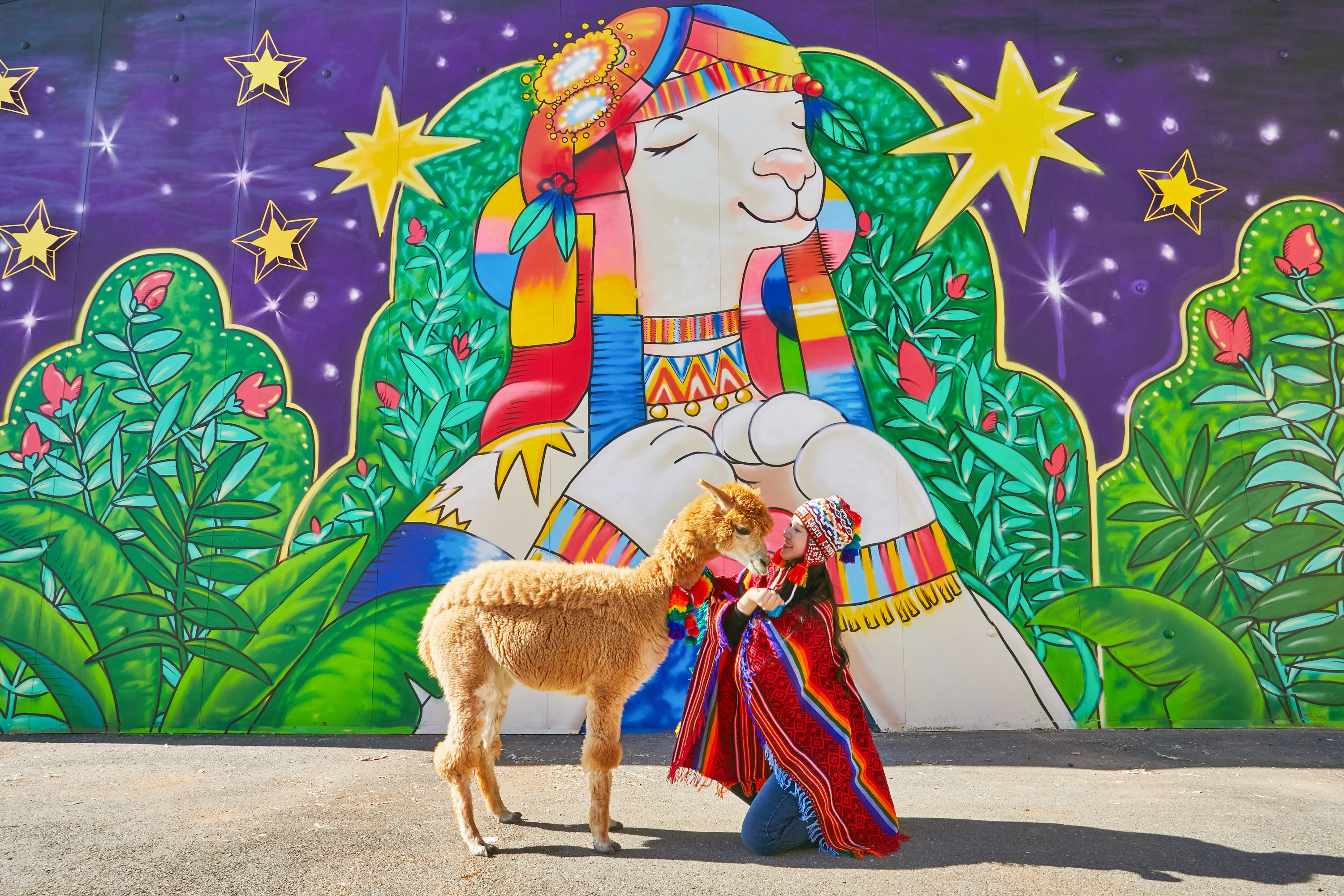 Nami Island+Alpaca+RailBike+Petite+LEGOLAND+Morning Calm PrivateTour