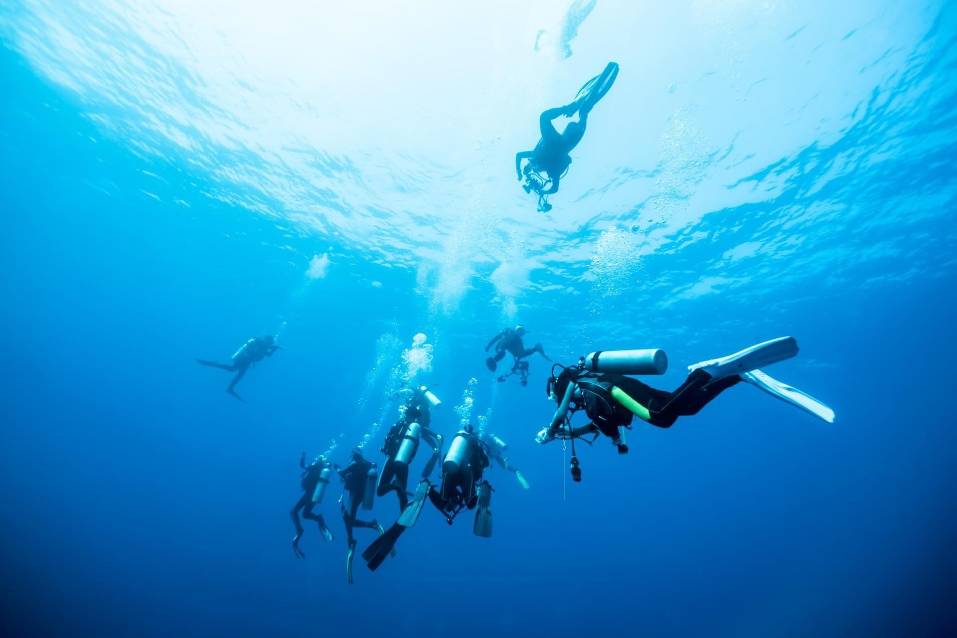 PADI AOW Diver in Pattaya with PADI 5 Star IDC