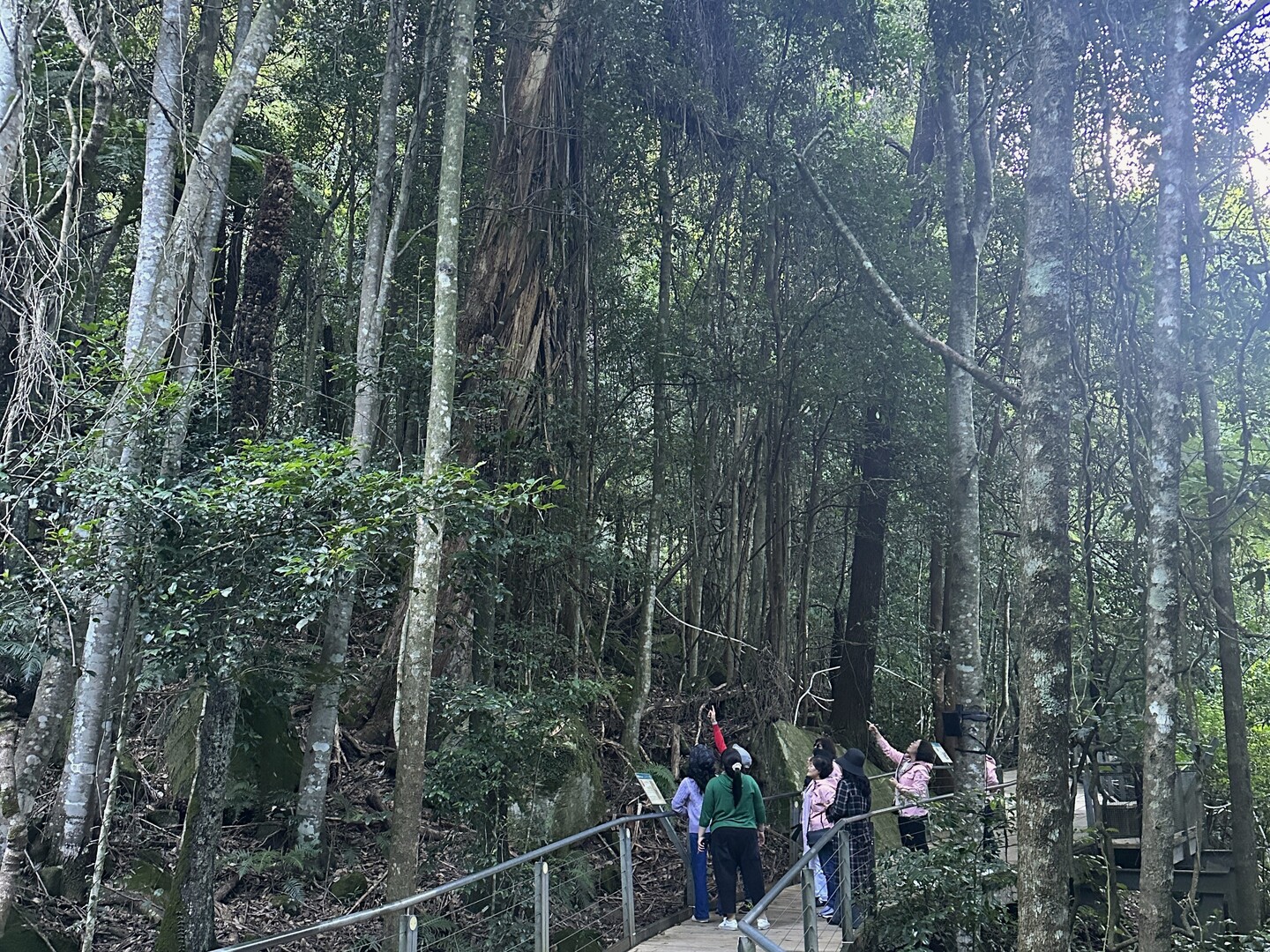 藍山探險一日遊