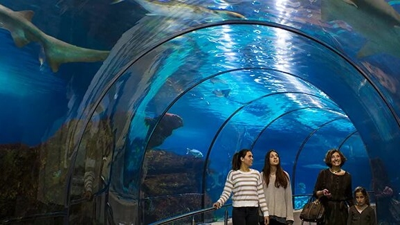 巴塞隆納水族館門票