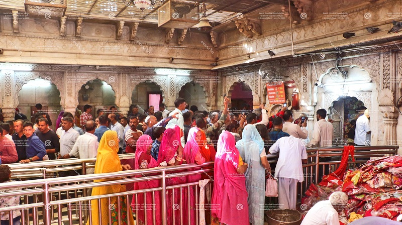 See Camel Centre, Rat Temple from Jodhpur & Bikaner Drop with Guide