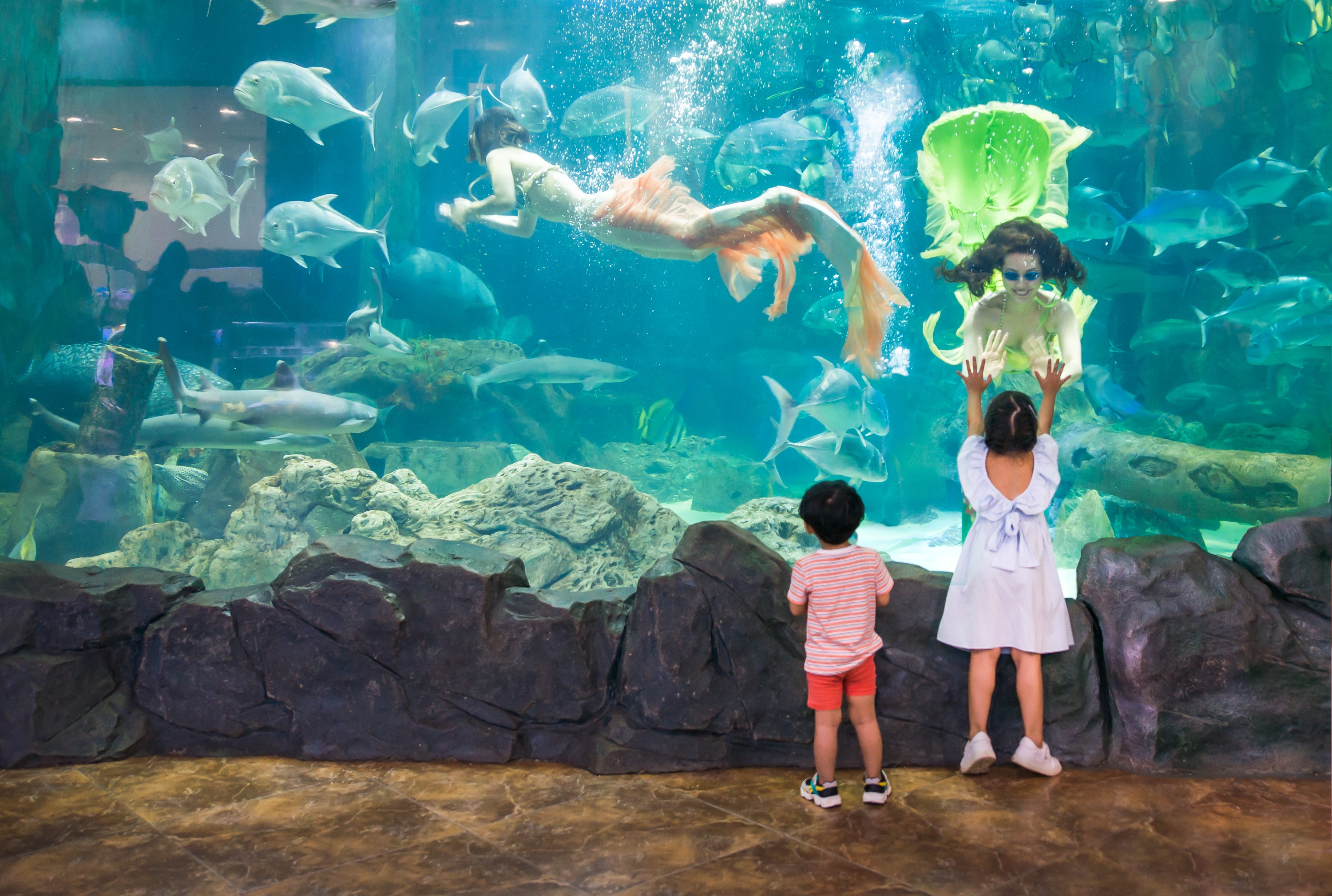 ヴィンケ＆ヴィンパール水族館 入館チケット（ハノイ）