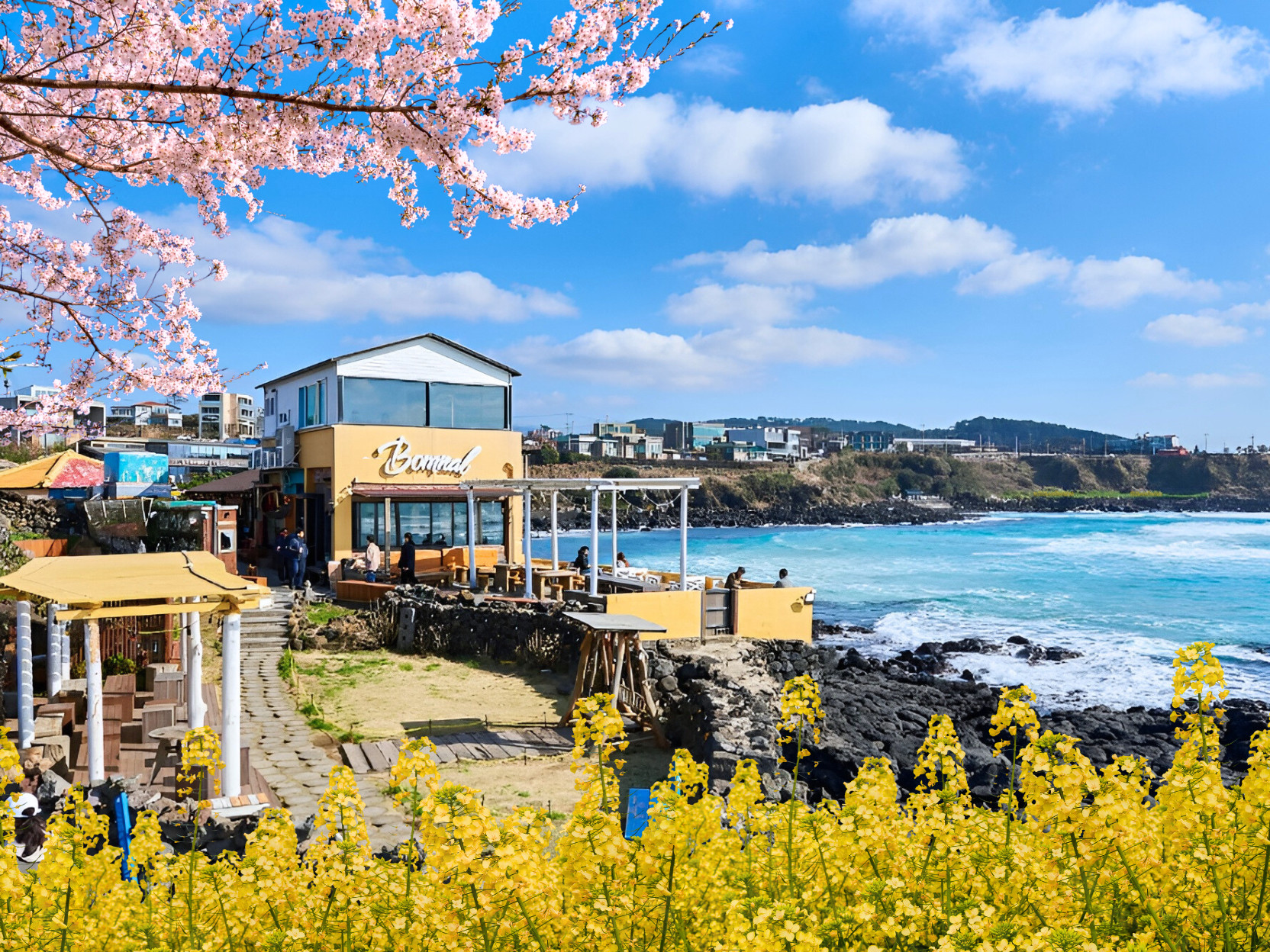 Jeju Island One Day Authentic Tour - UNESCO WestSouth / East