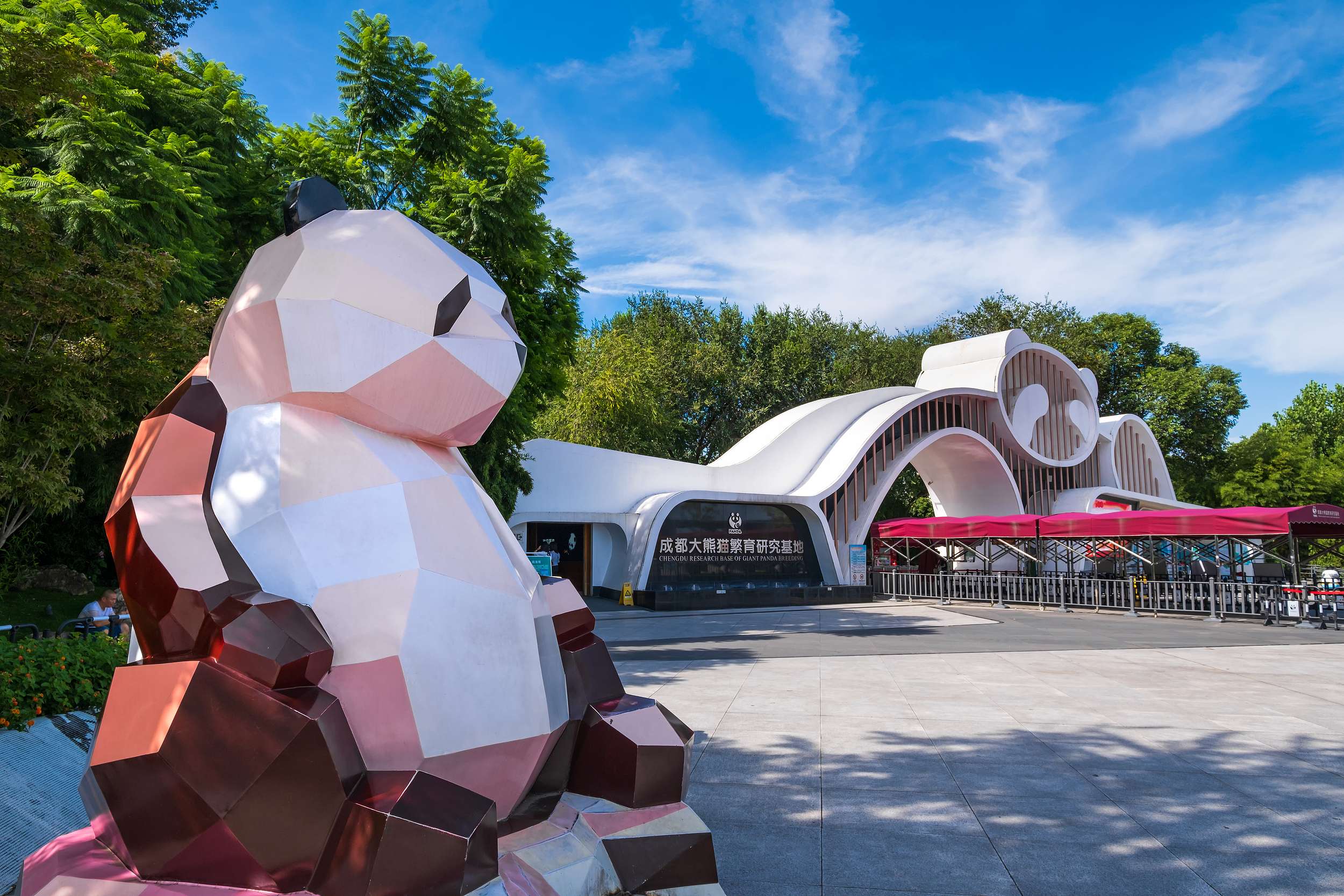 全球最大圈養大熊貓人工繁殖種群，近距離看萌萌的熊貓寶貝吃竹打滾。