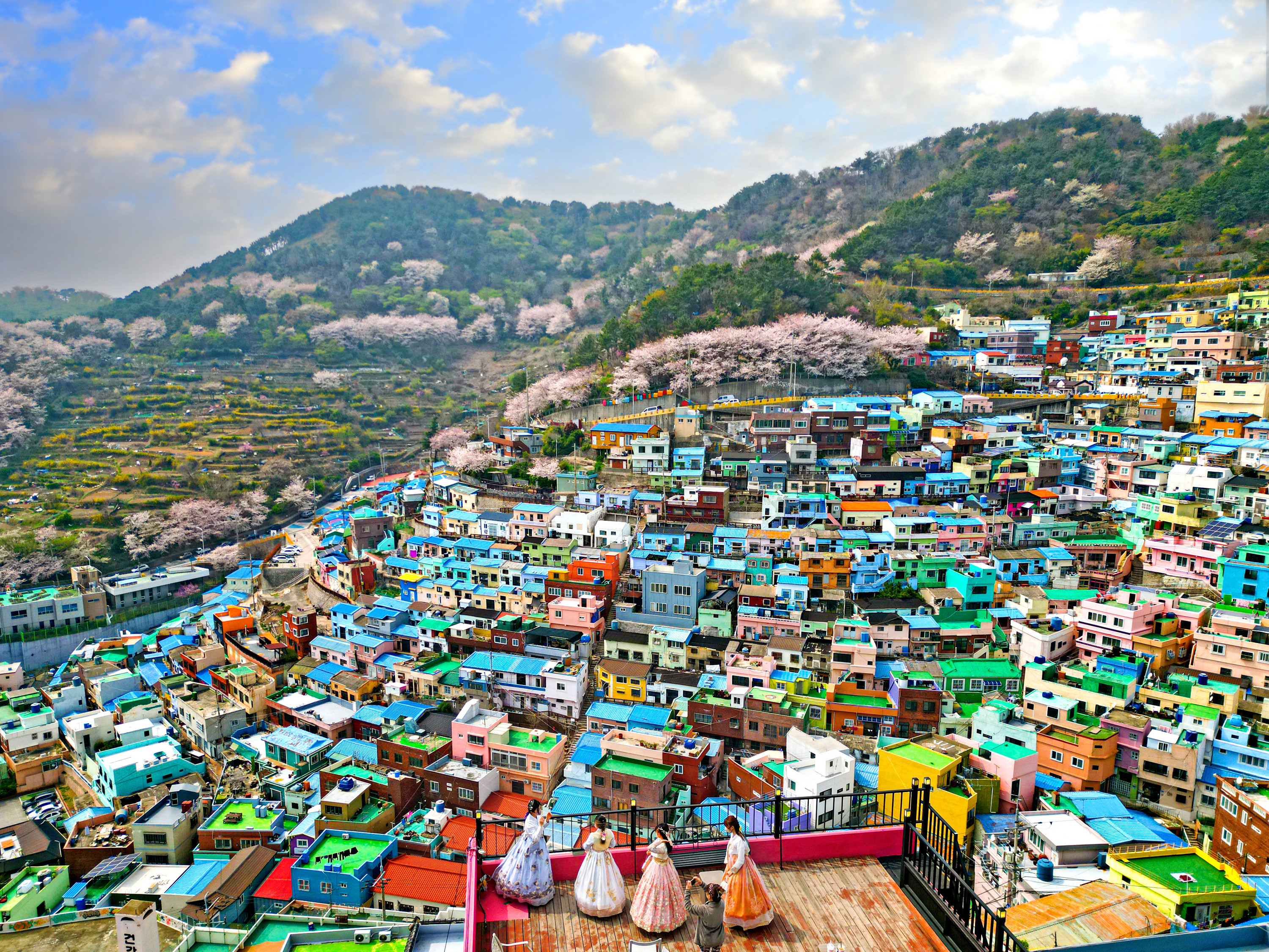 Busan City Charm 1-Day Tour