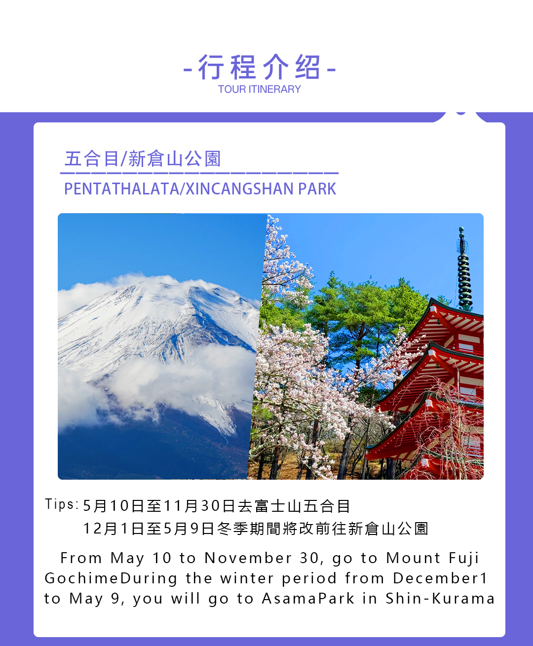 富士山經典一日遊｜五合目/新倉山公園+忍野八海+御殿場奧特萊斯/溫泉（二選一）贈送特色富士山泉草餅