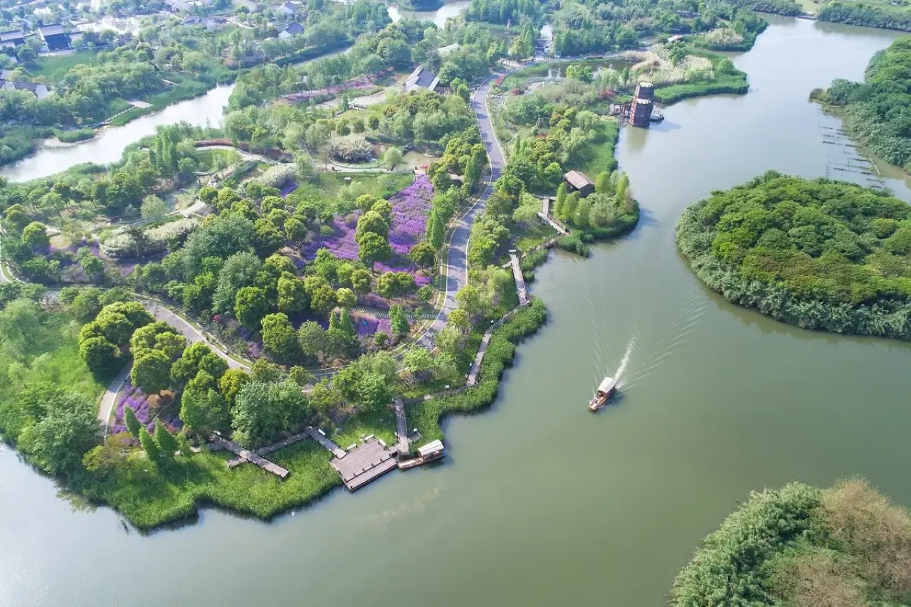 Shajiabang Reed Wetland