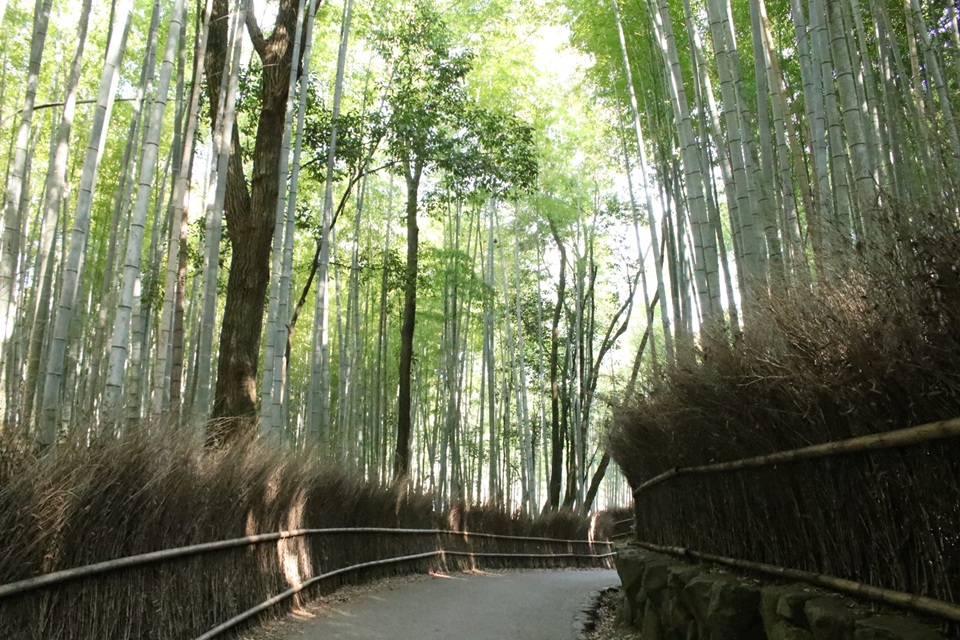 Kansai popular attractions Osaka Katsuoji Temple, Kyoto Arashiyama, Uji Byodoin Temple one-day tour | Optional exclusive A5 premium Kobe beef (depart from Osaka)
