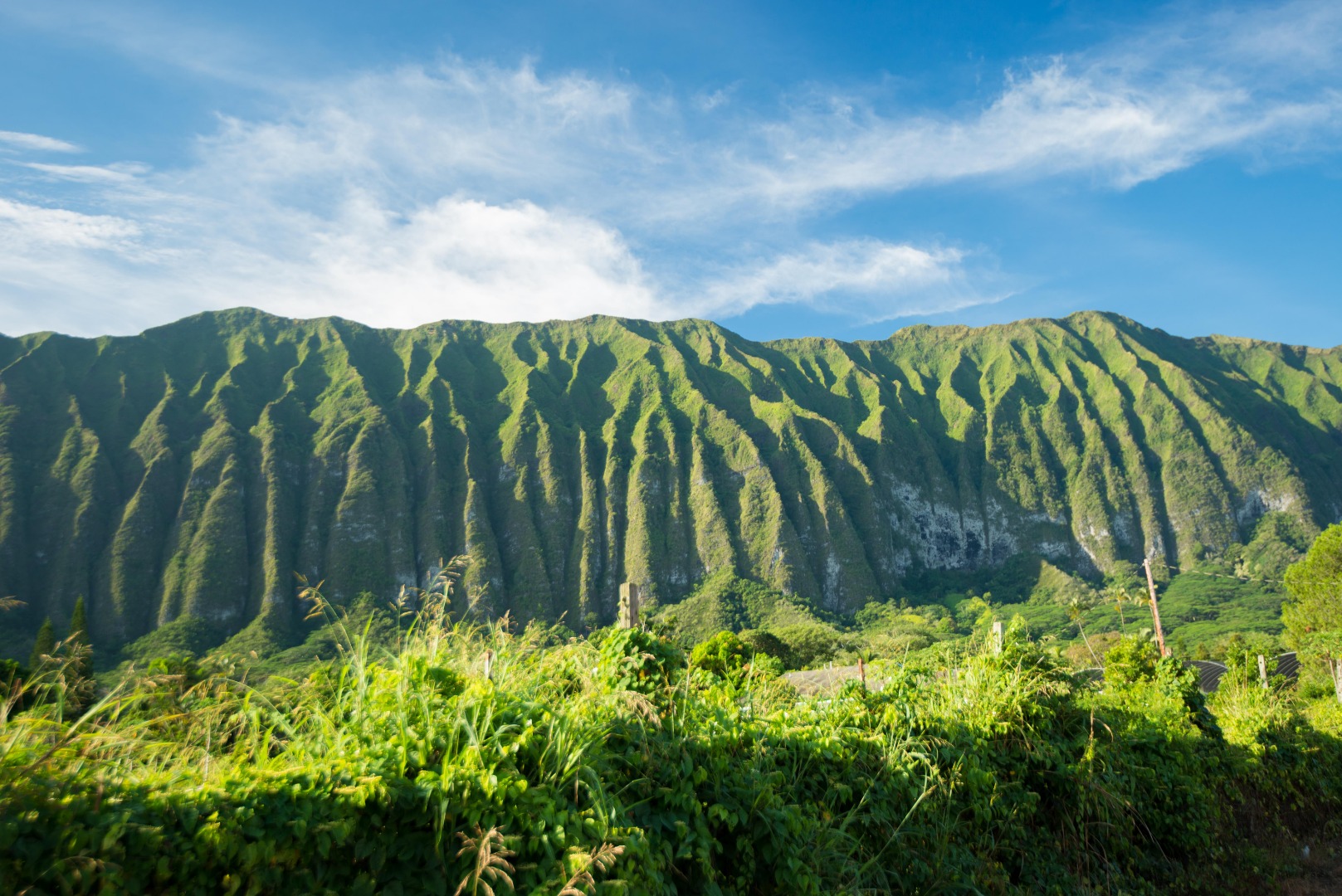 [SALE] Oahu Island Sunrise Photo Tour - 20% Discount - Ticket KD