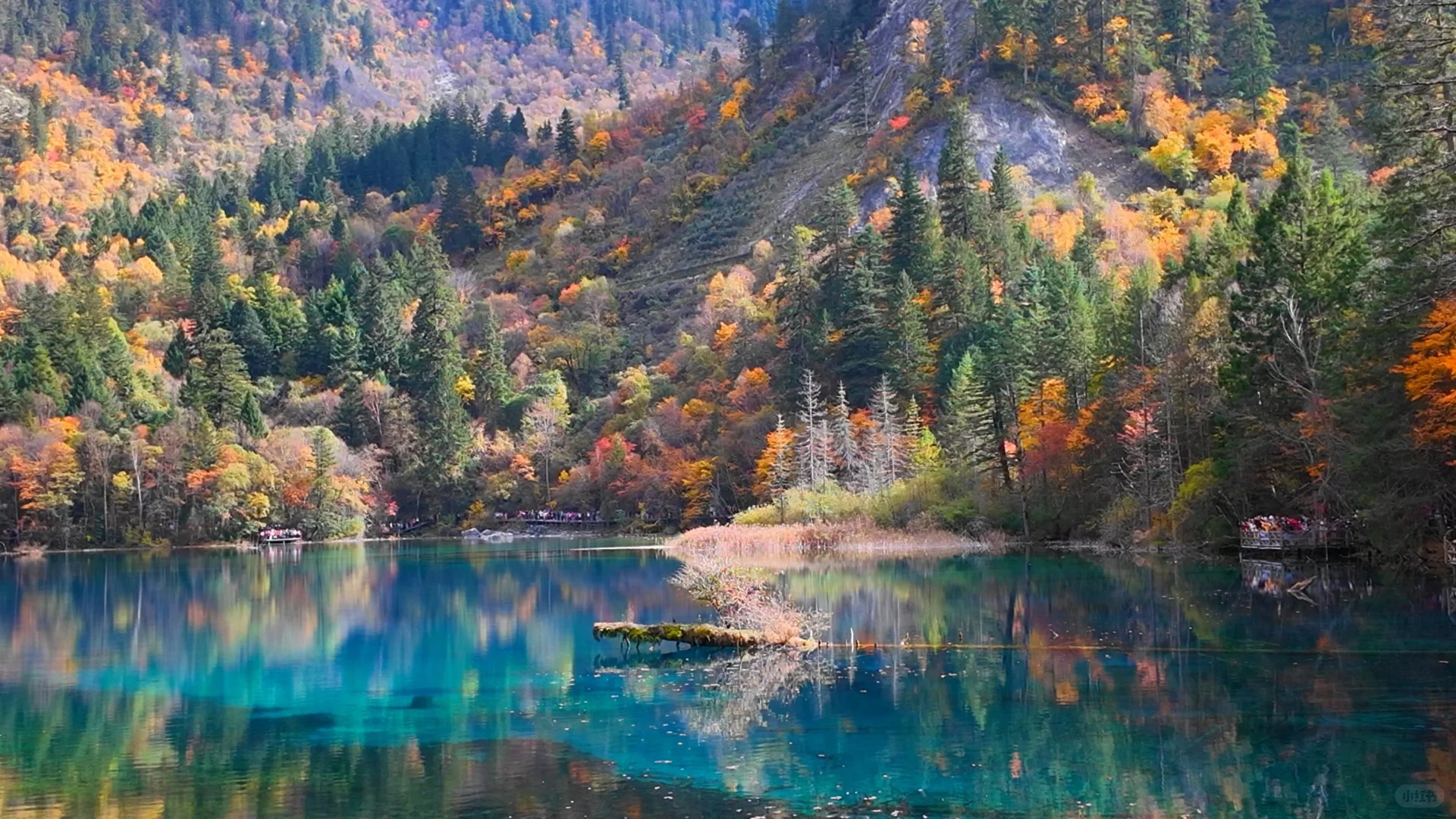 成都九寨溝國家公園全日文化之旅