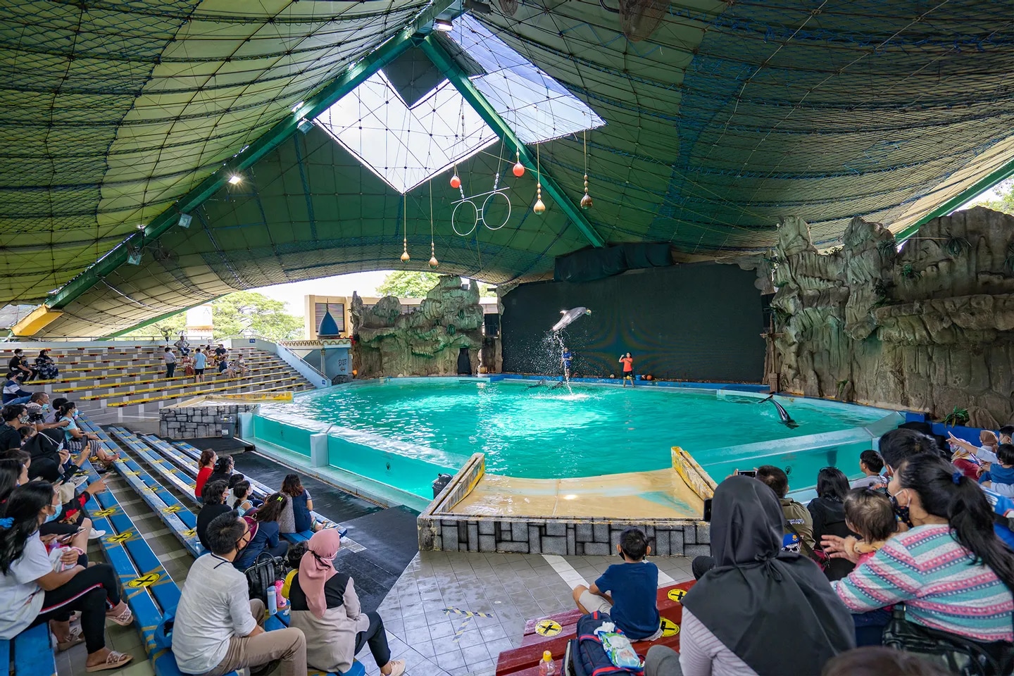 遊客們在室內競技場欣賞有趣又充滿活力的海豚表演