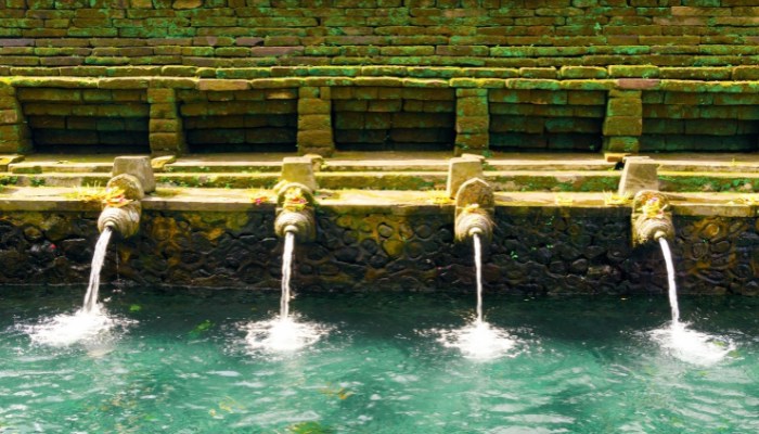 巴厘島聖泉寺（Tirta Empul Holy Water Temple）身心洗禮 & 烏布探索之旅