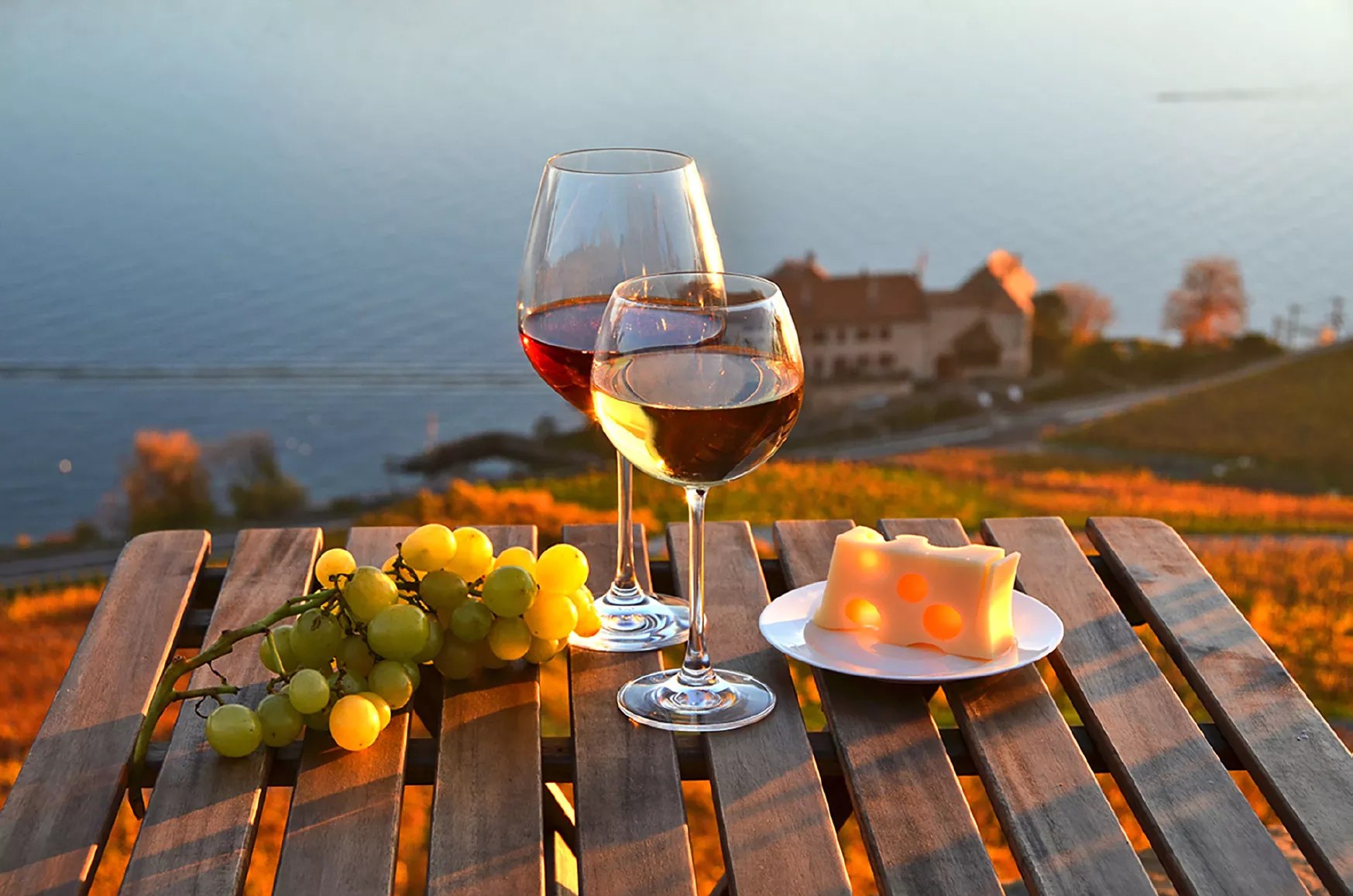 Lausanne Culinary Boat Trip &amp; Vineyard Private Tour from Zurich