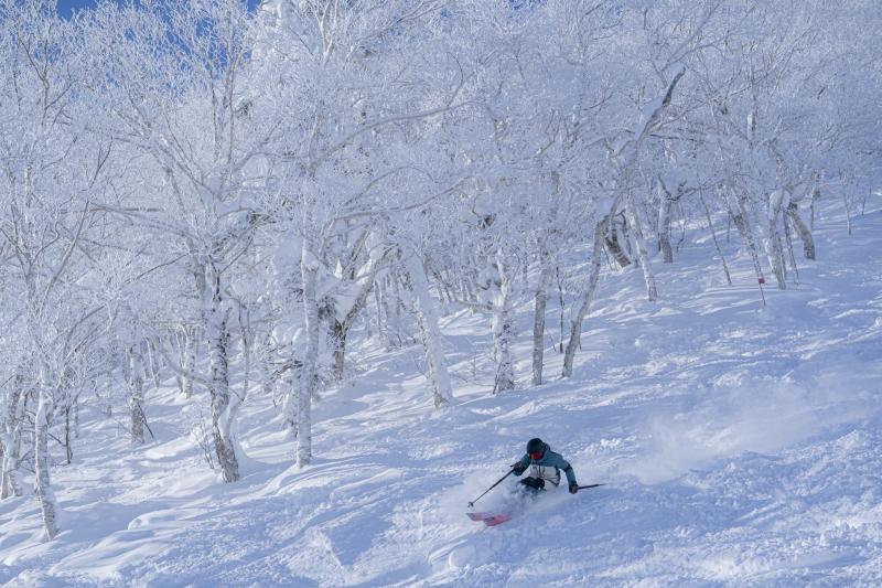 北海道粉雪地帶5日票+阿伊努博物館導覽