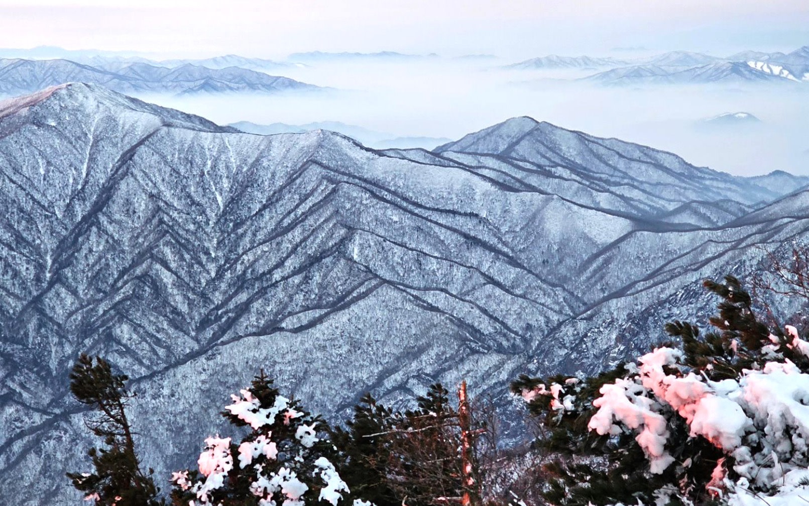 Seoraksan Tour from Seoul | Scenic Trails & Colorful Mountain View