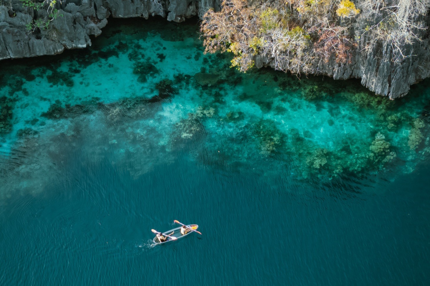 Coron Super Ultimate Tour with Freediving Buddy