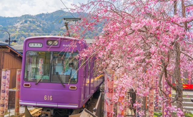 Arashiyama train during cherry blossom season, a cute little train with Arashiyama as the final stop