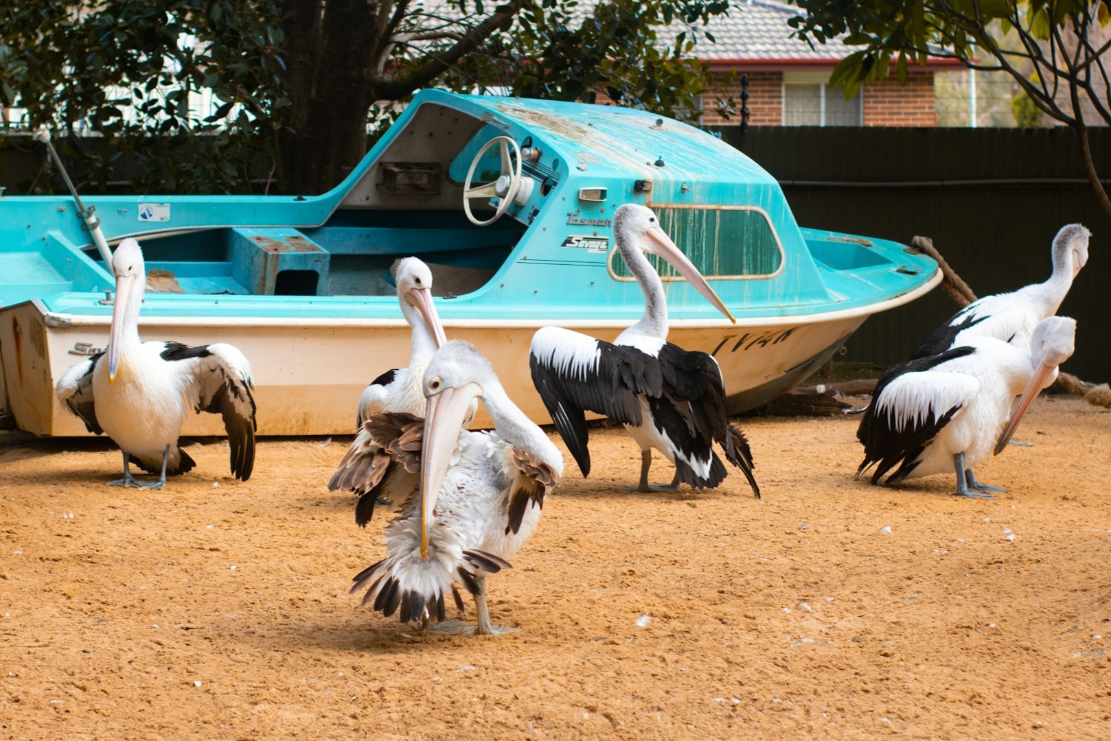 Private Blue Mountains Tour with Featherdale Wildlife &amp; Iconic Three