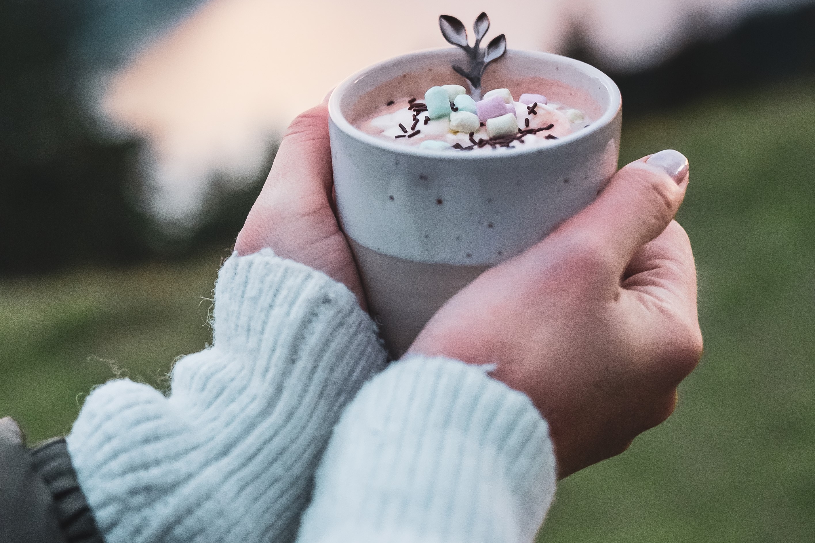 Mountain Chocolate Fondue Experience at Mount Rigi