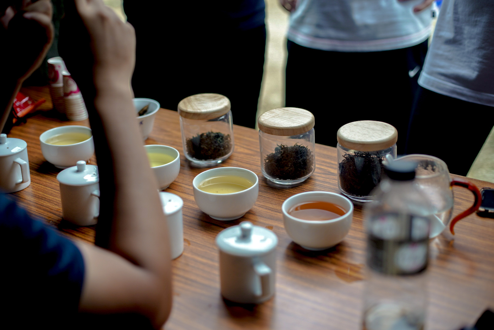 宜蘭品茶&茶園導覽&揉茶體驗活動