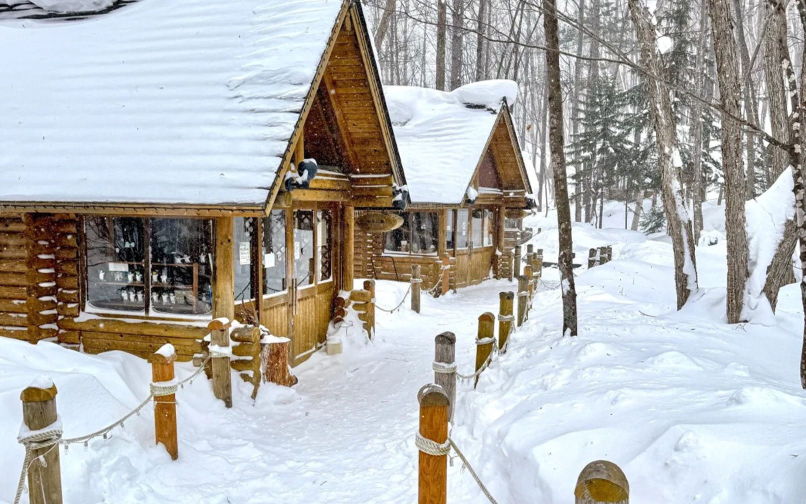 Winter Hokkaido | Asahiyama Zoo & Shikisai-no-oka & Blue Pond & Shirahige Falls & Terrace of the Forest Spirit | Classic Route & Fun Route (Optional Snowmobile Experience) | Chinese and English Speaking Guide | Departing from Sapporo