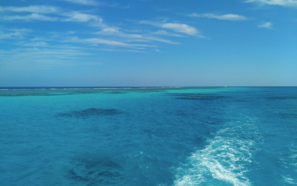 赫爾格達：私人快艇之旅3個浮潛點