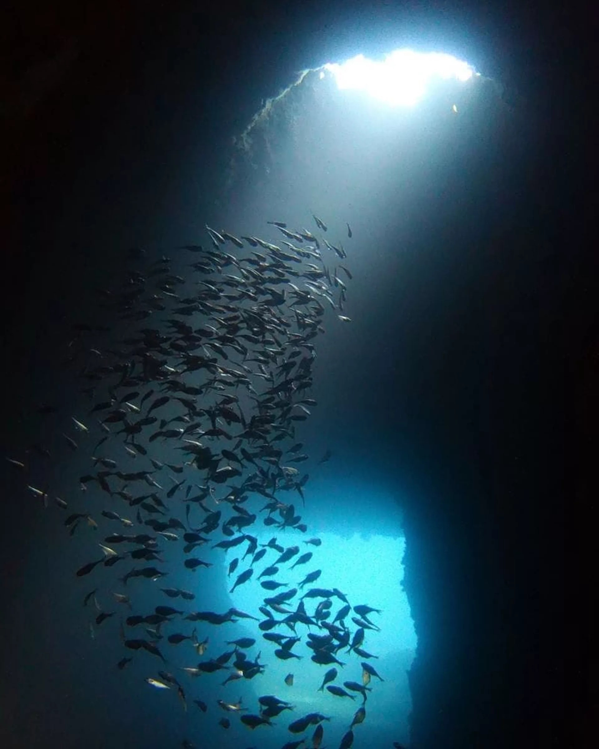 愛妮島 PADI 潛水中心進階潛水課程