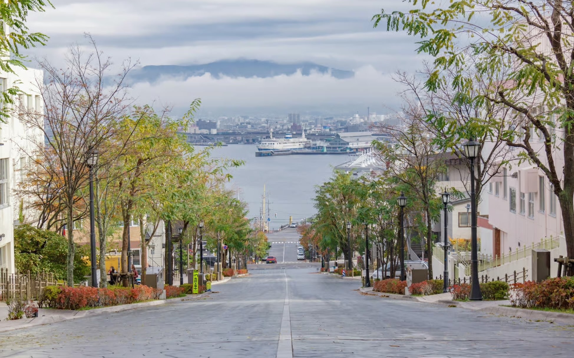 Mount Hakodate & Morning Market Half-Day Private Shore Excursion