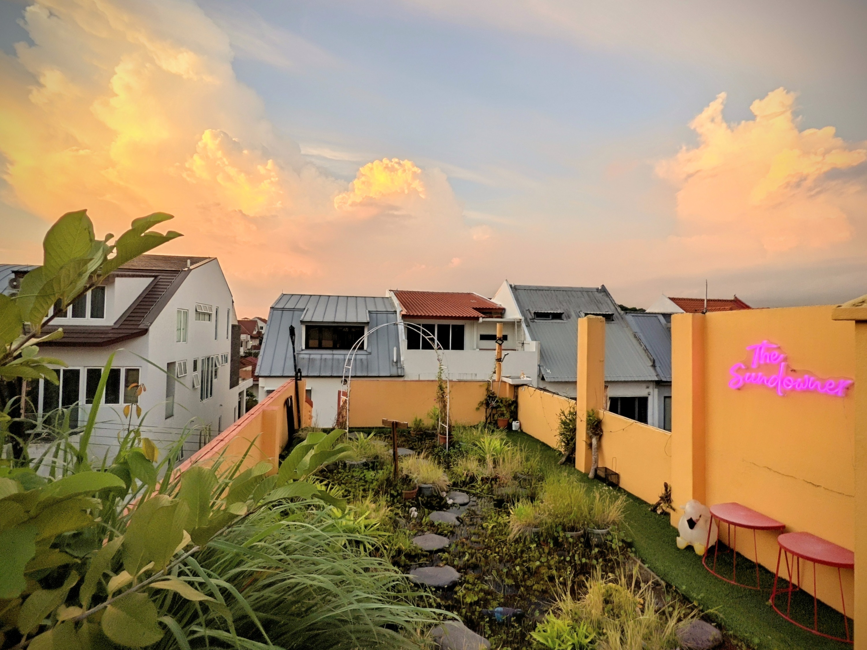 新加坡 The Sundowner 屋頂農場體驗
