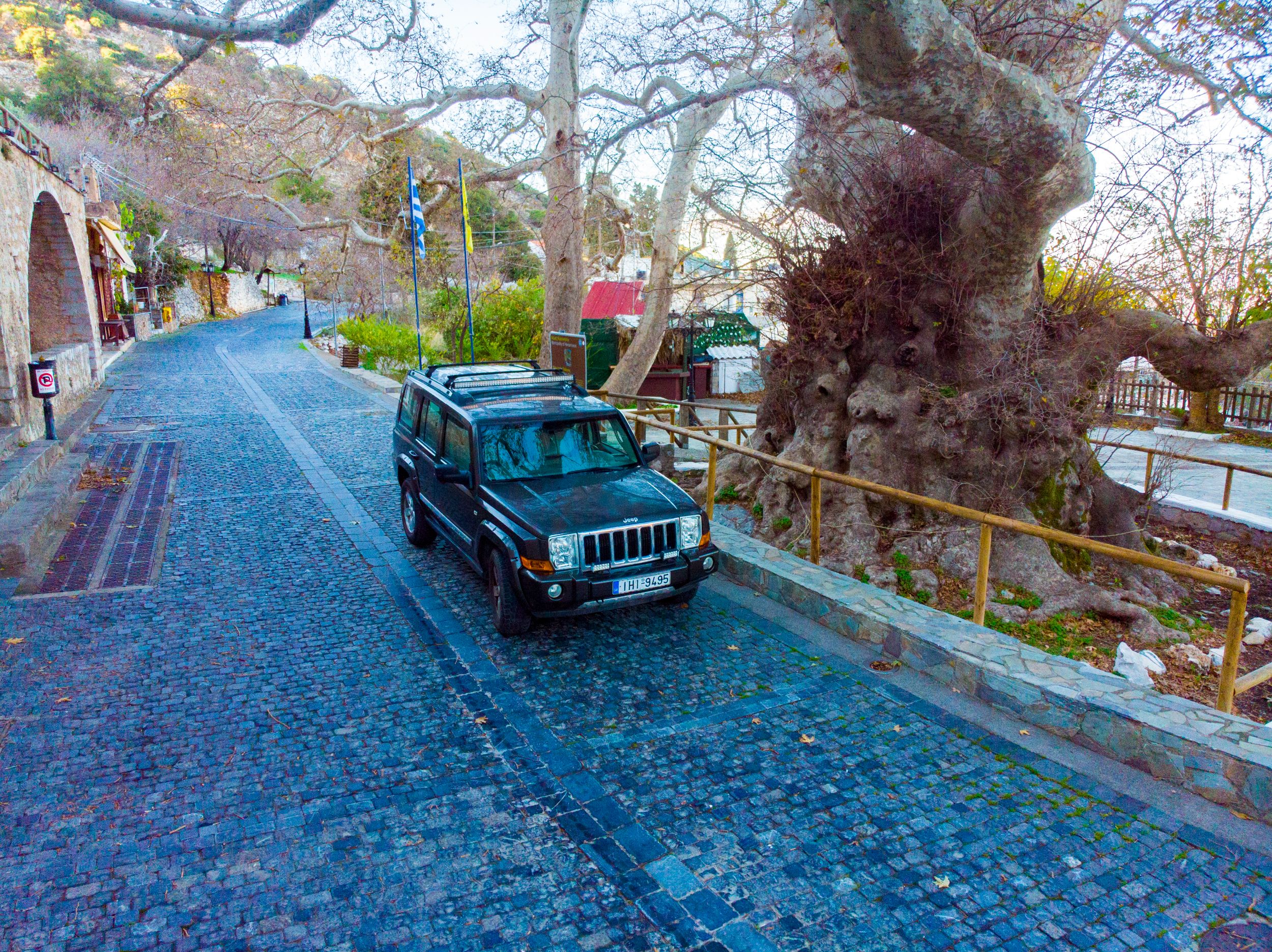 The monumental plane tree at Krasi village.