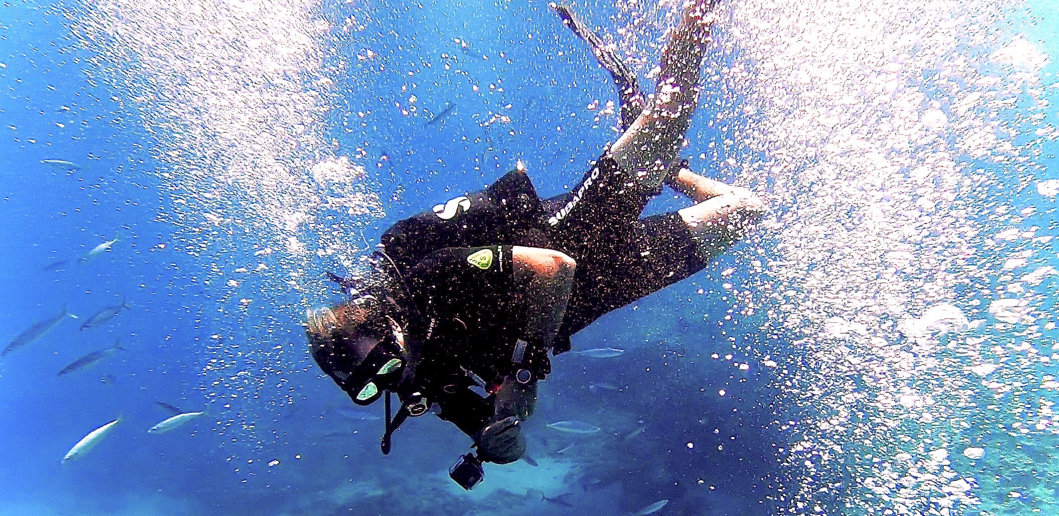 Explore Honolulu: Open Water Diver eLearning with PADI 5* Center