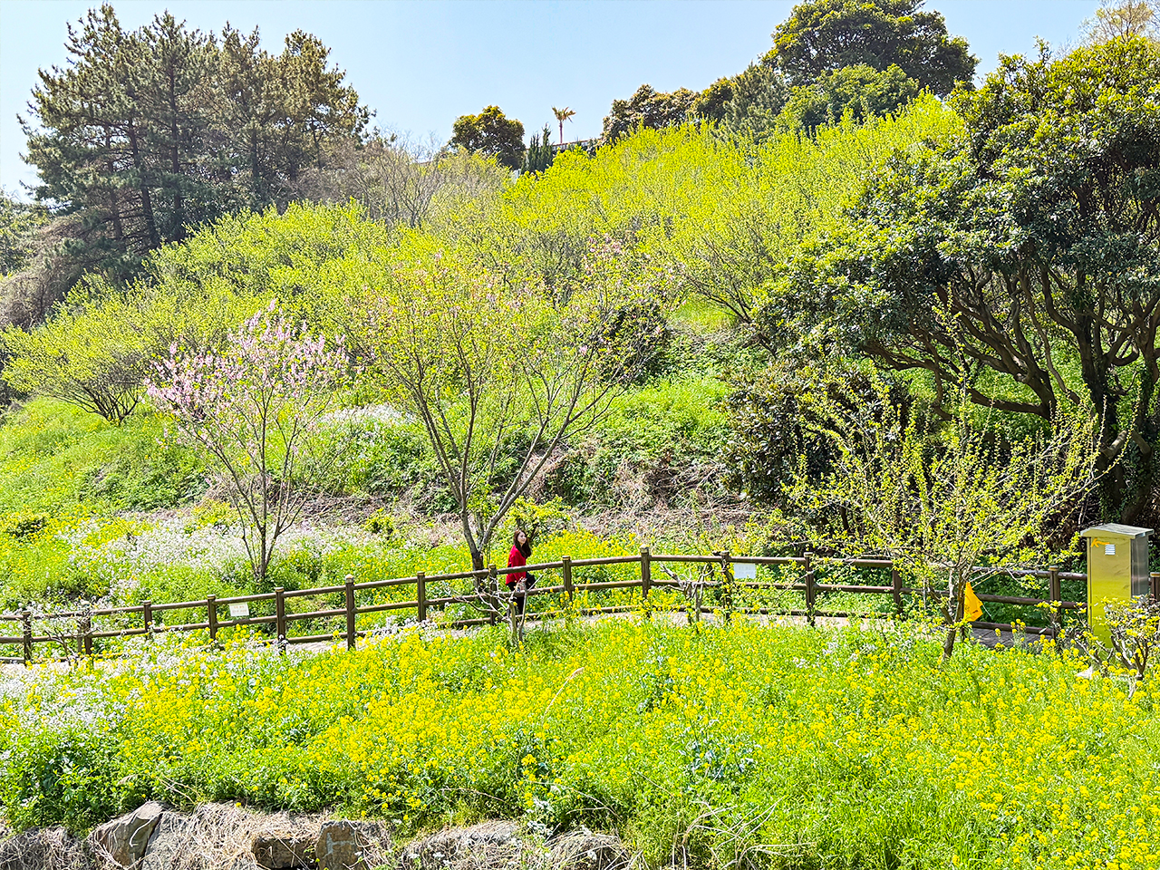 A quiet scenic spot where seasonal colors and gentle landscapes create a relaxing atmosphere.