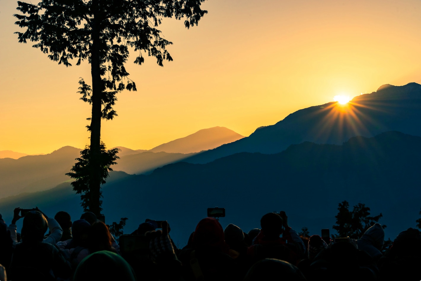 嘉義阿里山2日遊（台北出發・含文化體驗、景點門票）