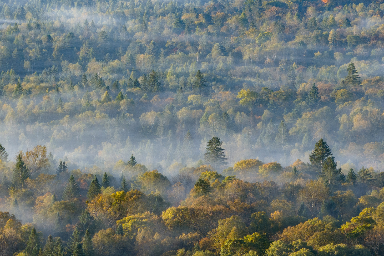 6-Day Tour of Northeast Dream Forest City Xiaoxing'anling