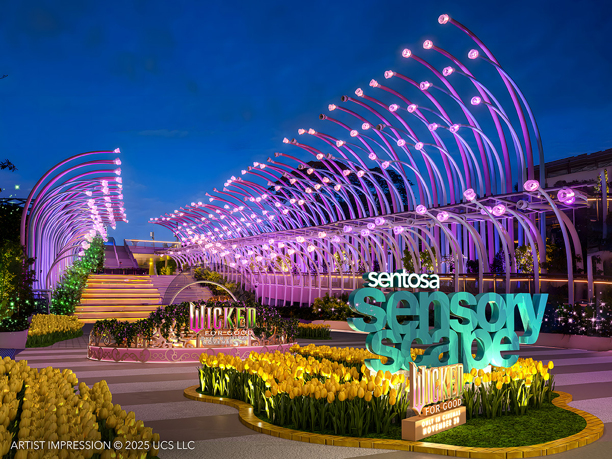 【魔法壞女巫:黃磚路】聖淘沙星空下的魔法之路 【魔法壞女巫:黃磚路】聖淘沙星空下的魔法之路