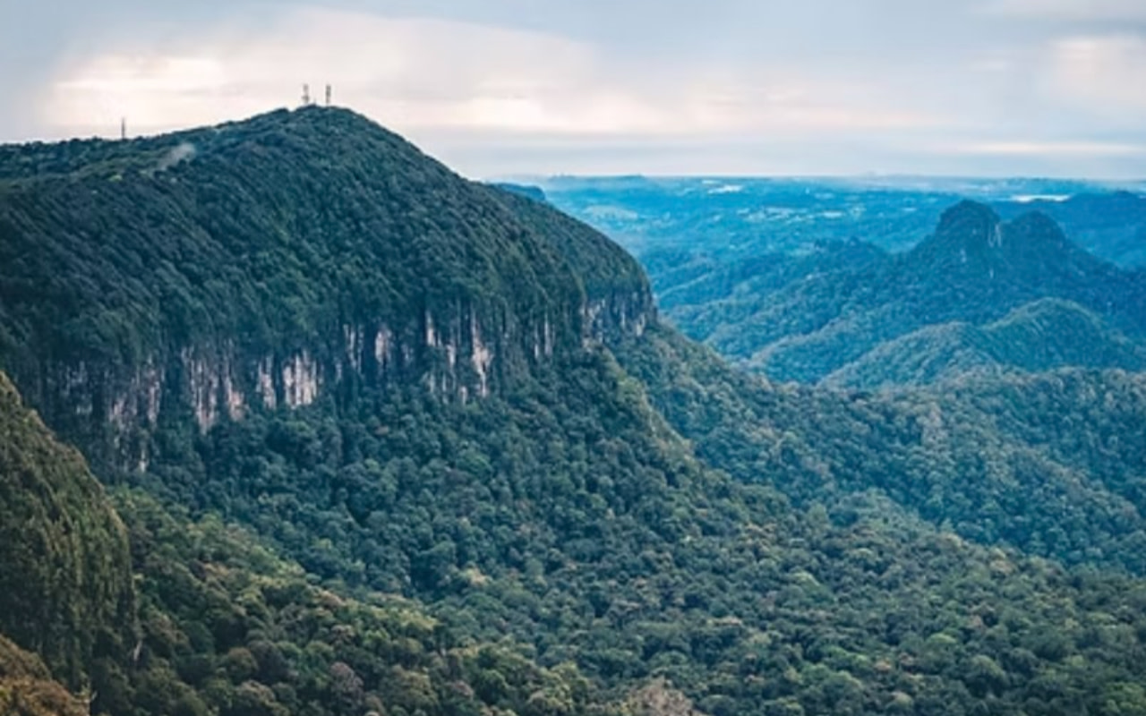 欣賞廣闊、令人驚嘆的蔥鬱森林山谷和壯麗山脊全景 欣賞廣闊、令人驚嘆的蔥鬱森林山谷和壯麗山脊全景