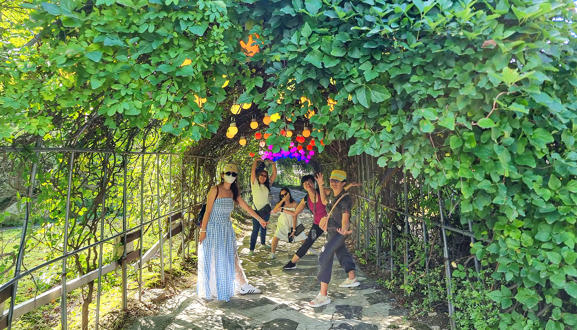 🌿 不如一齊去盡情享受夏日微風？