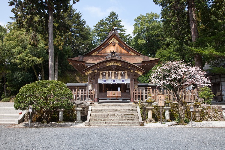 2025日本鳥取砂之美術館一日巴士遊 (大阪出發)