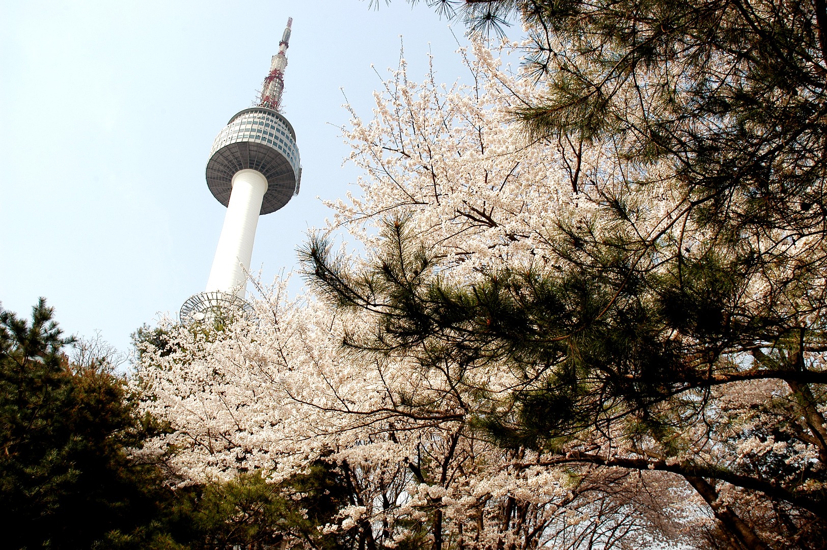 Hanbok Experience at Hanboknam Gyeongbokgung with Korean Hairstyling