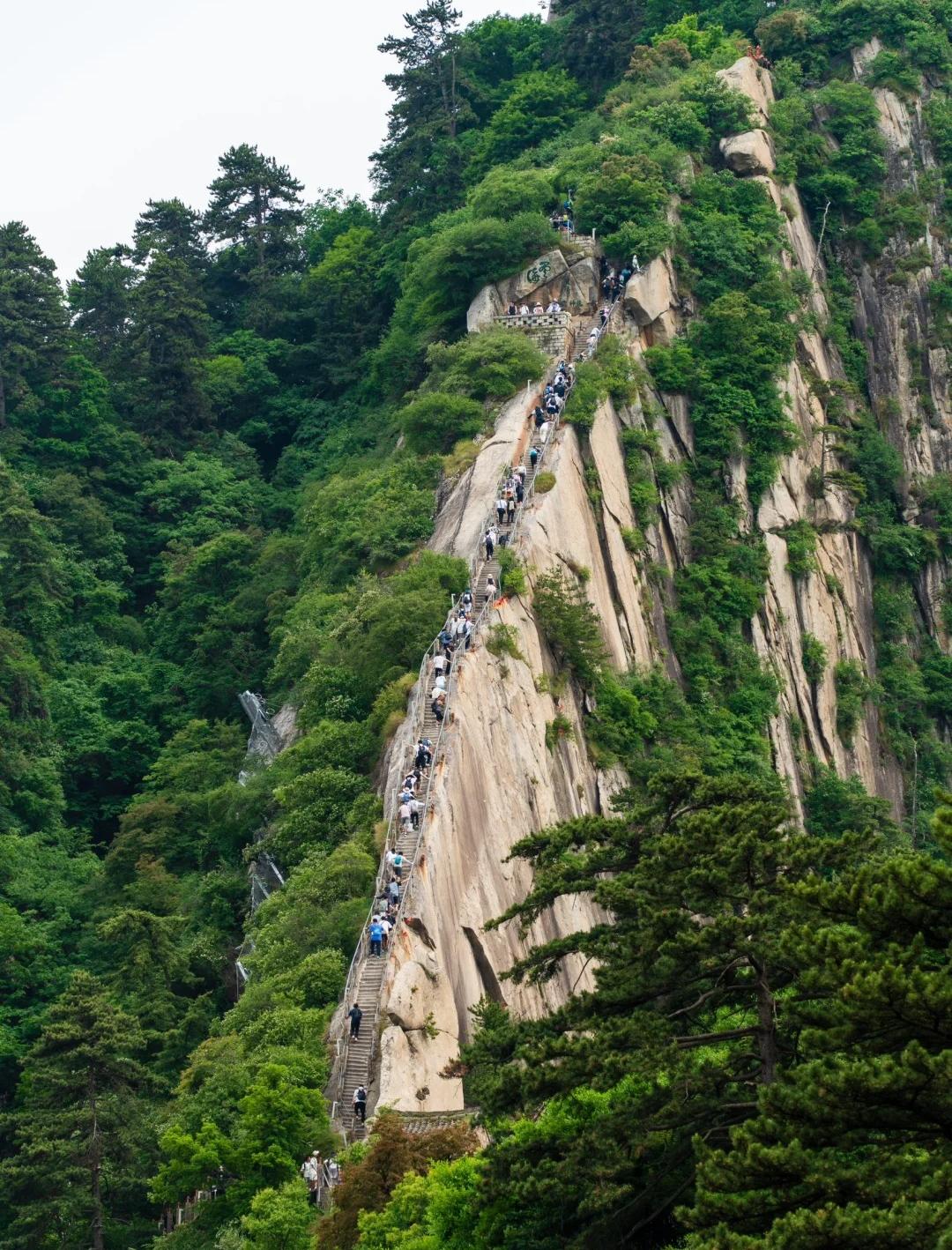 5 days and 4 nights group tour in Xi'an (recommended tour for 144 transit visa, small group with up to 9 people, Terracotta Warriors + Huaqing Palace + Huashan + Tang Dynasty City, free shadow play + Hanfu experience)