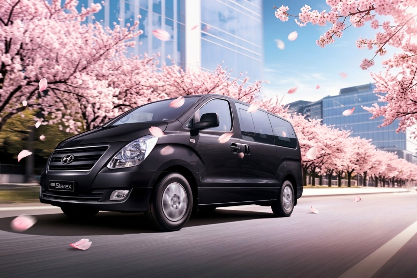 韓劇私人之旅：首爾私人包車前往南怡島 / 草泥馬樂園 / 束草 / 江陵