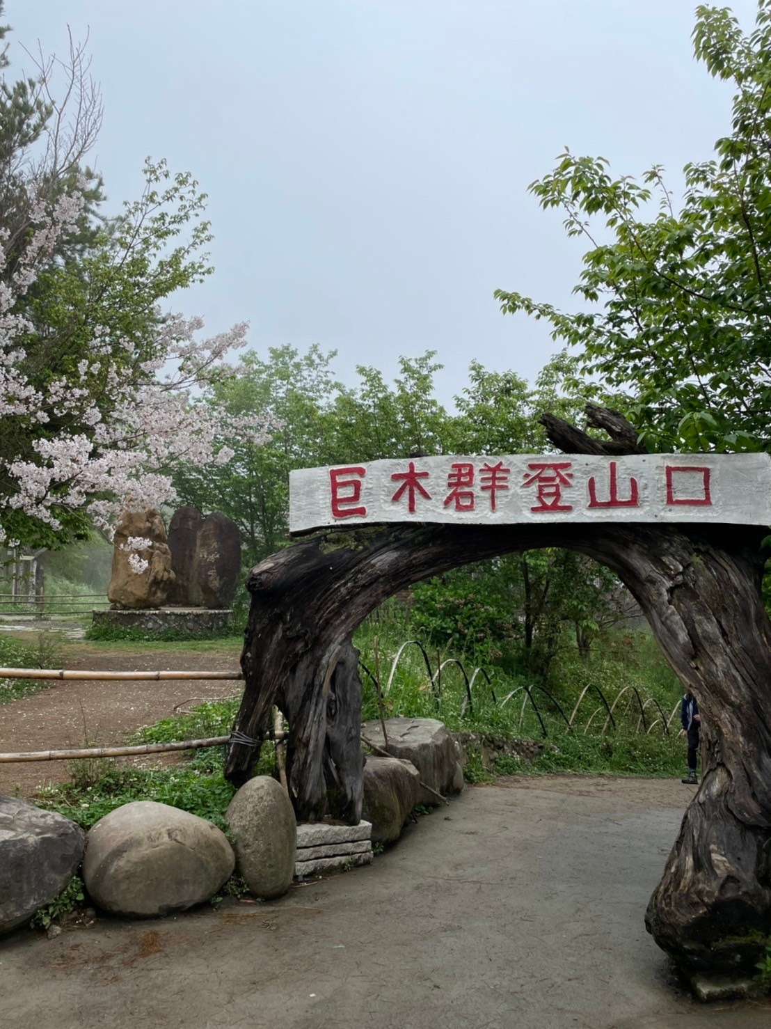 新竹｜司馬庫斯一日遊