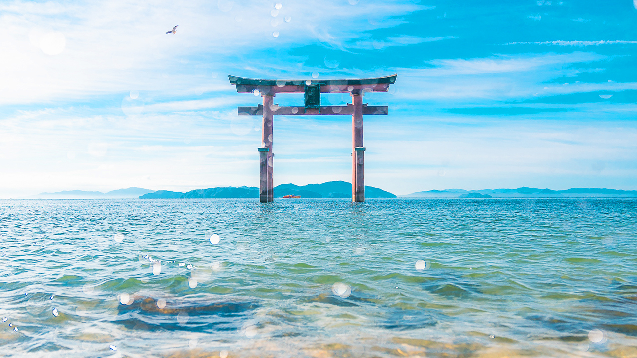 白鬚神社湖中鳥居,硃紅色鳥居矗立在澄澈湖面,與藍天碧波相映,被稱為 “近江的嚴島”,是滋賀縣極具代表性的自然與人文交融之景。 白鬚神社湖中鳥居,硃紅色鳥居矗立在澄澈湖面,與藍天碧波相映,被稱為 “近江的嚴島”,是滋賀縣極具代表性的自然與人文交融之景。
